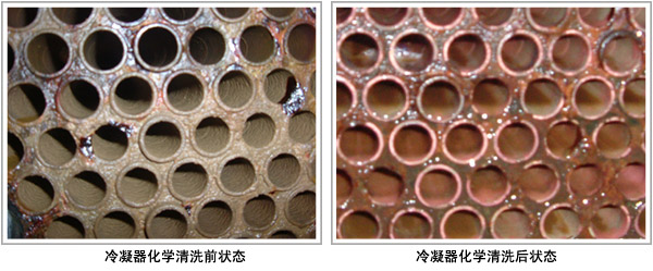 案例展示
